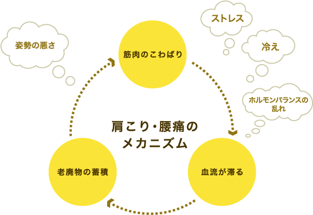 肩こり 腰痛学科 アロマ大学