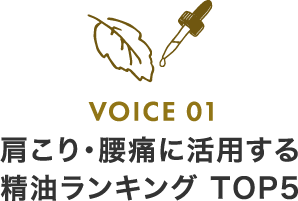 肩こり 腰痛学科 アロマ大学