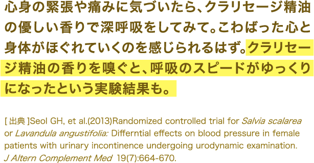 肩こり 腰痛学科 アロマ大学