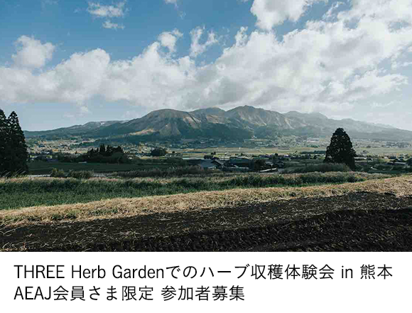 THREE Herb Gardenでのハーブ収穫体験会 in 熊本