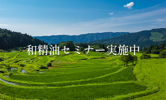 “和精油セミナー実施中